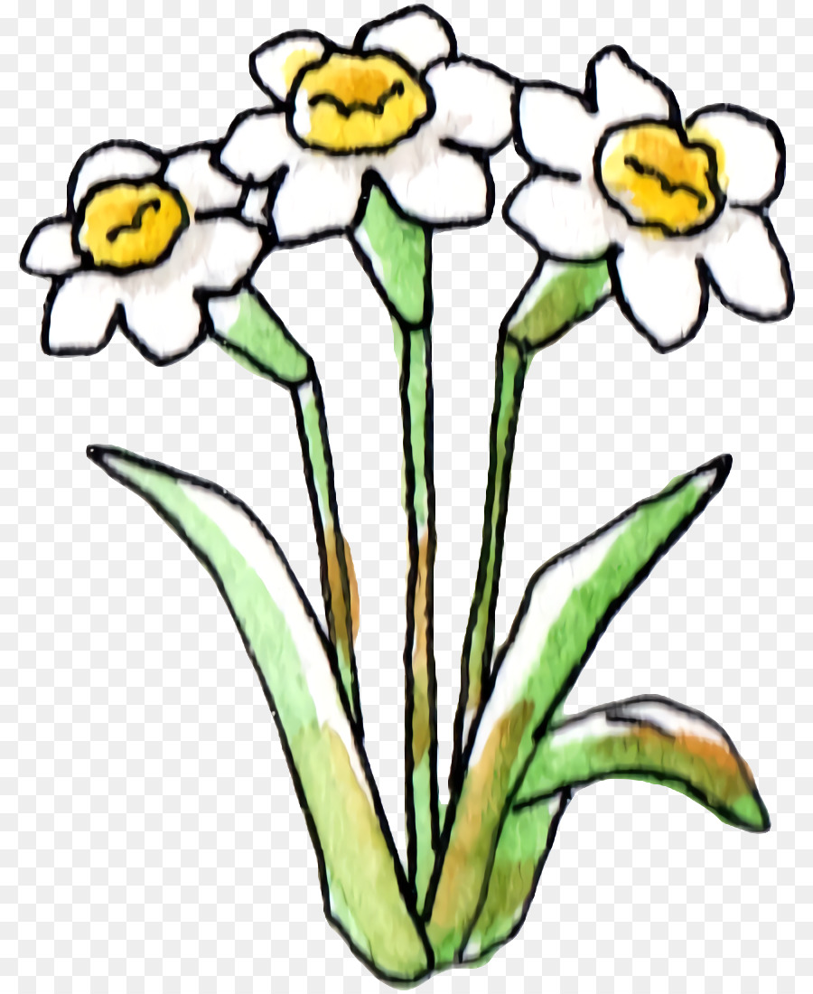 Diseño Floral，Tallo De La Planta PNG