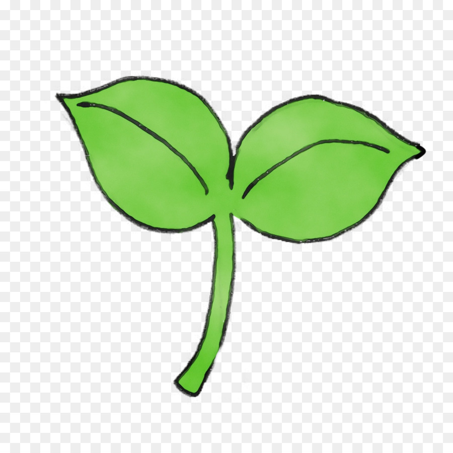 Hoja，Tallo De La Planta PNG