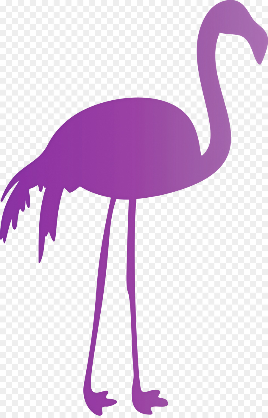 Aves，Los Patos PNG