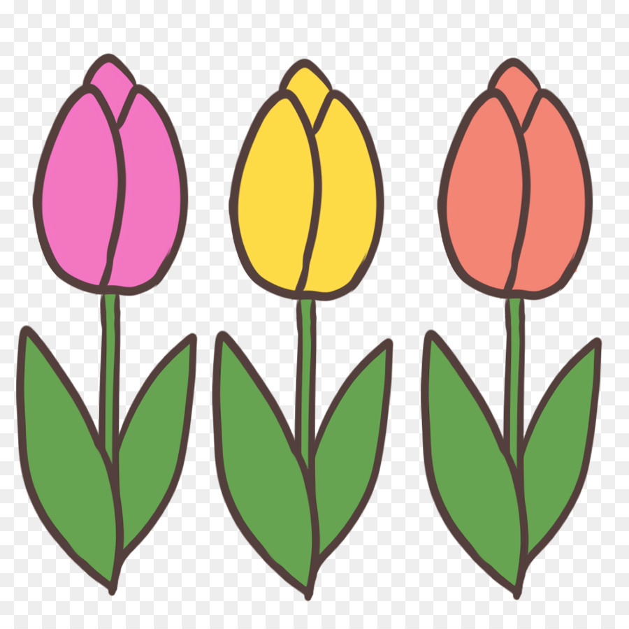 Tulipanes Coloridos，Primavera PNG