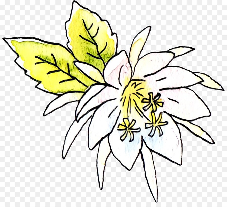 Diseño Floral，Tallo De La Planta PNG