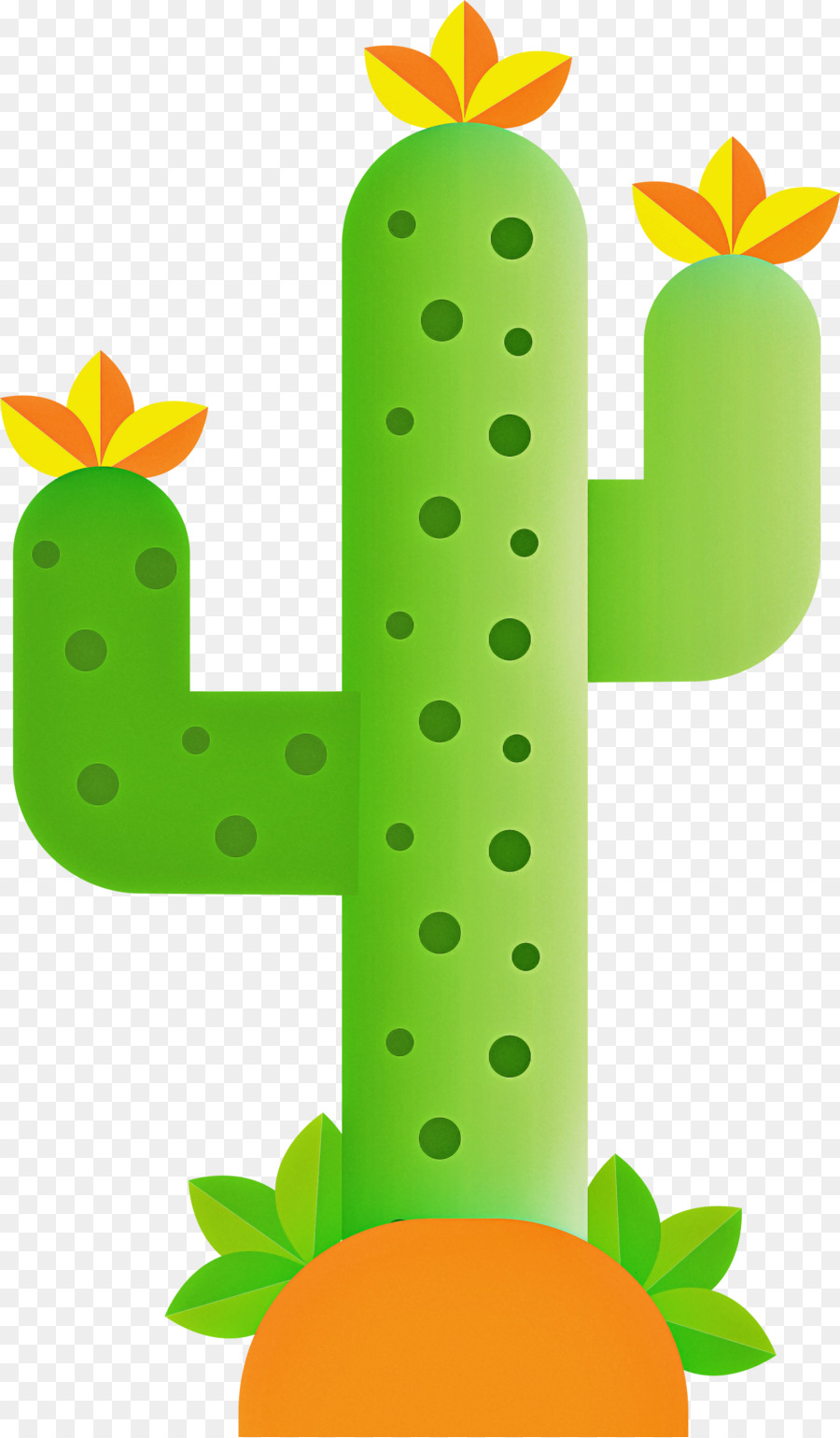 Cactus，Tallo De La Planta PNG