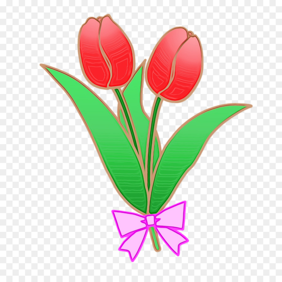 Tulip，Tallo De La Planta PNG