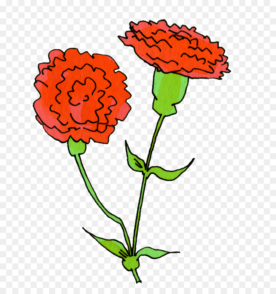 Diseño Floral，Tallo De La Planta PNG