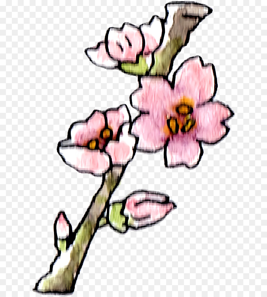 Diseño Floral，Tallo De La Planta PNG