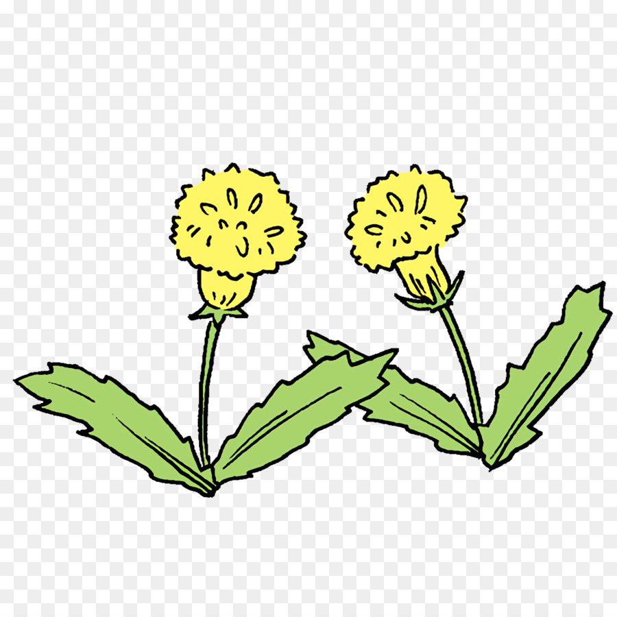 Diente De León，Tallo De La Planta PNG