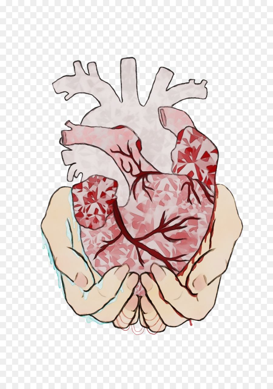 Artes Visuales，Carne M PNG