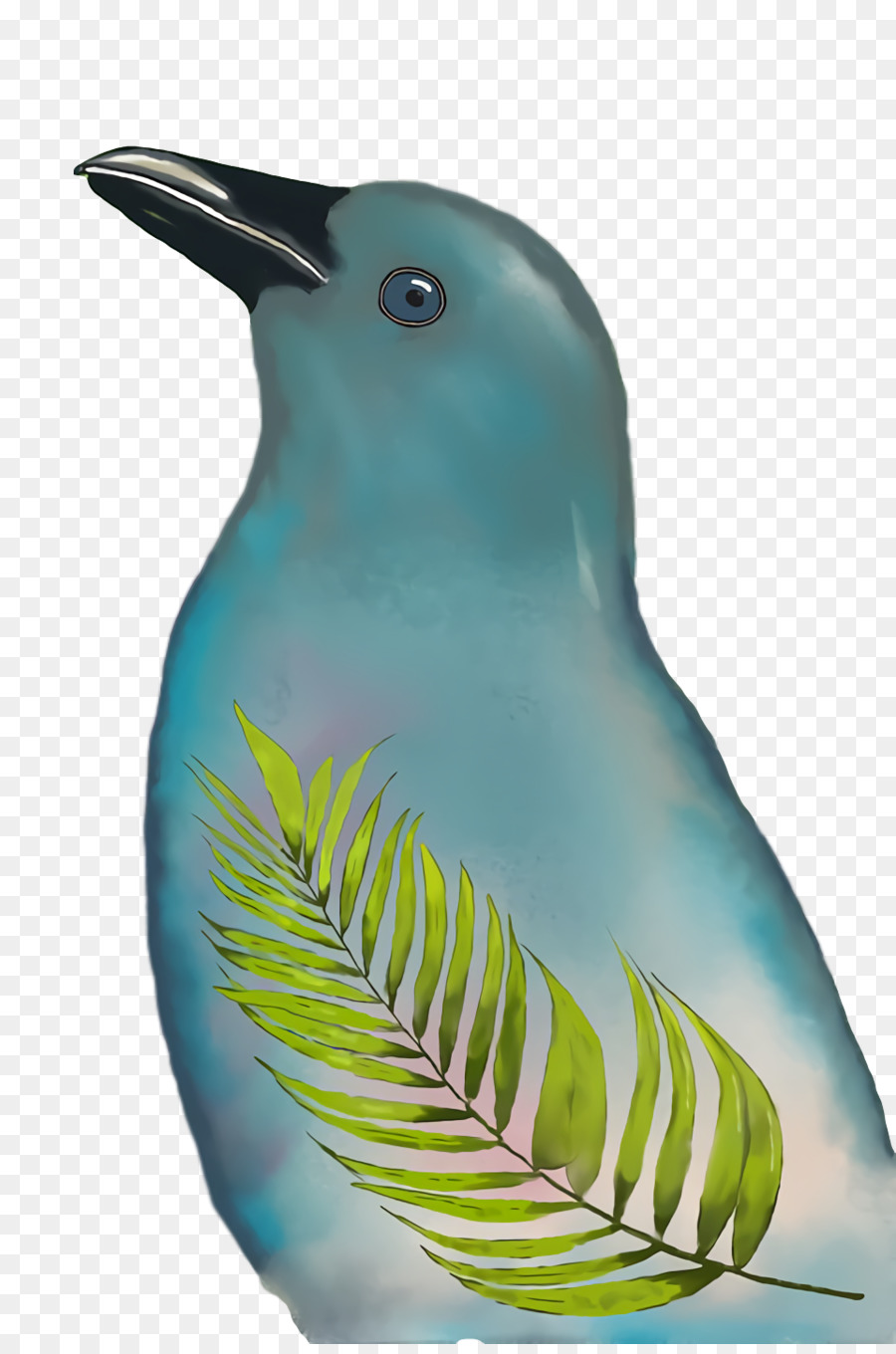 Pico，Turquesa PNG