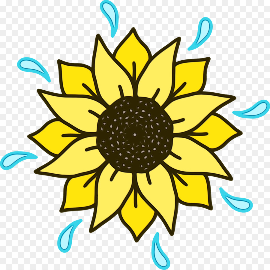 Común De Girasol，Diseño Floral PNG