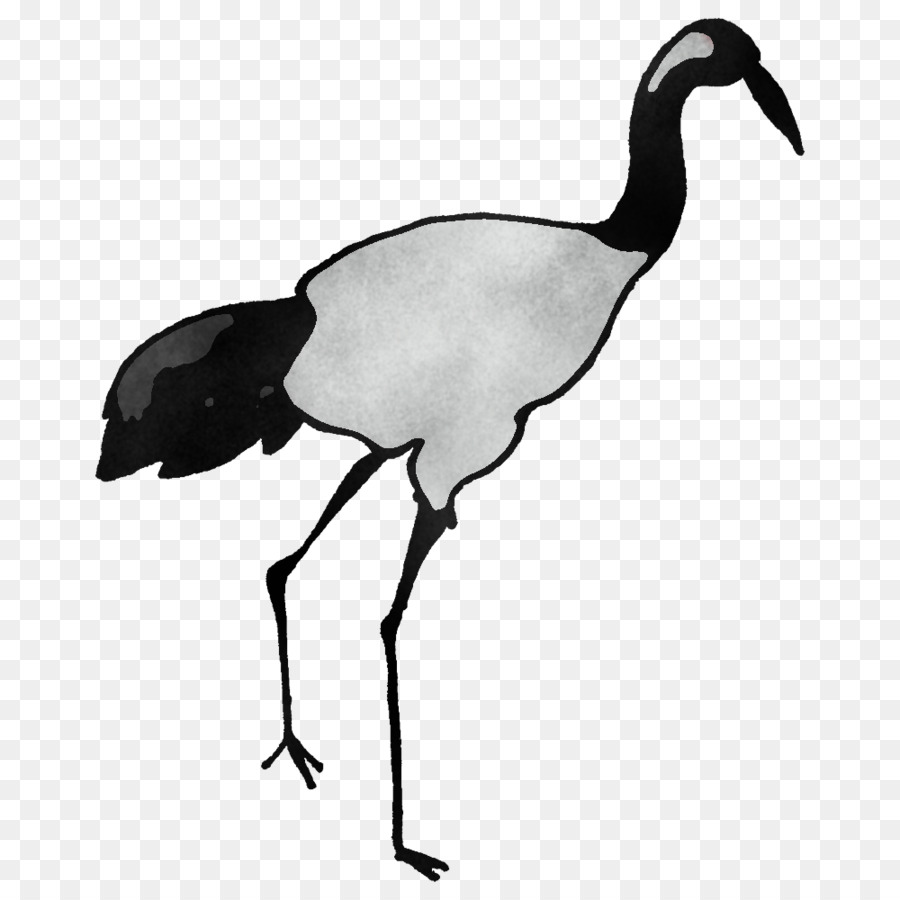 Grúa，Aves PNG