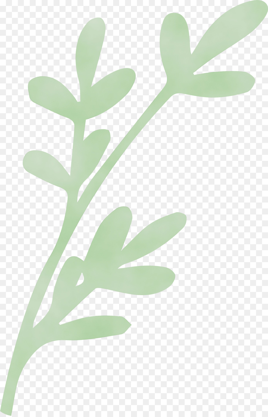 Hoja，Tallo De La Planta PNG