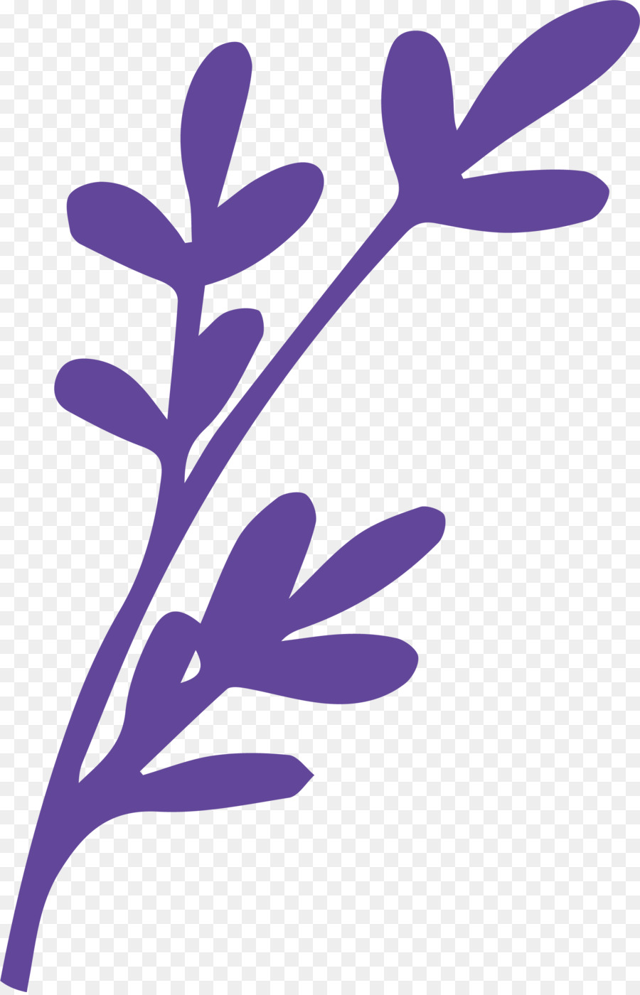 Dibujo De Flores，Bosquejo PNG