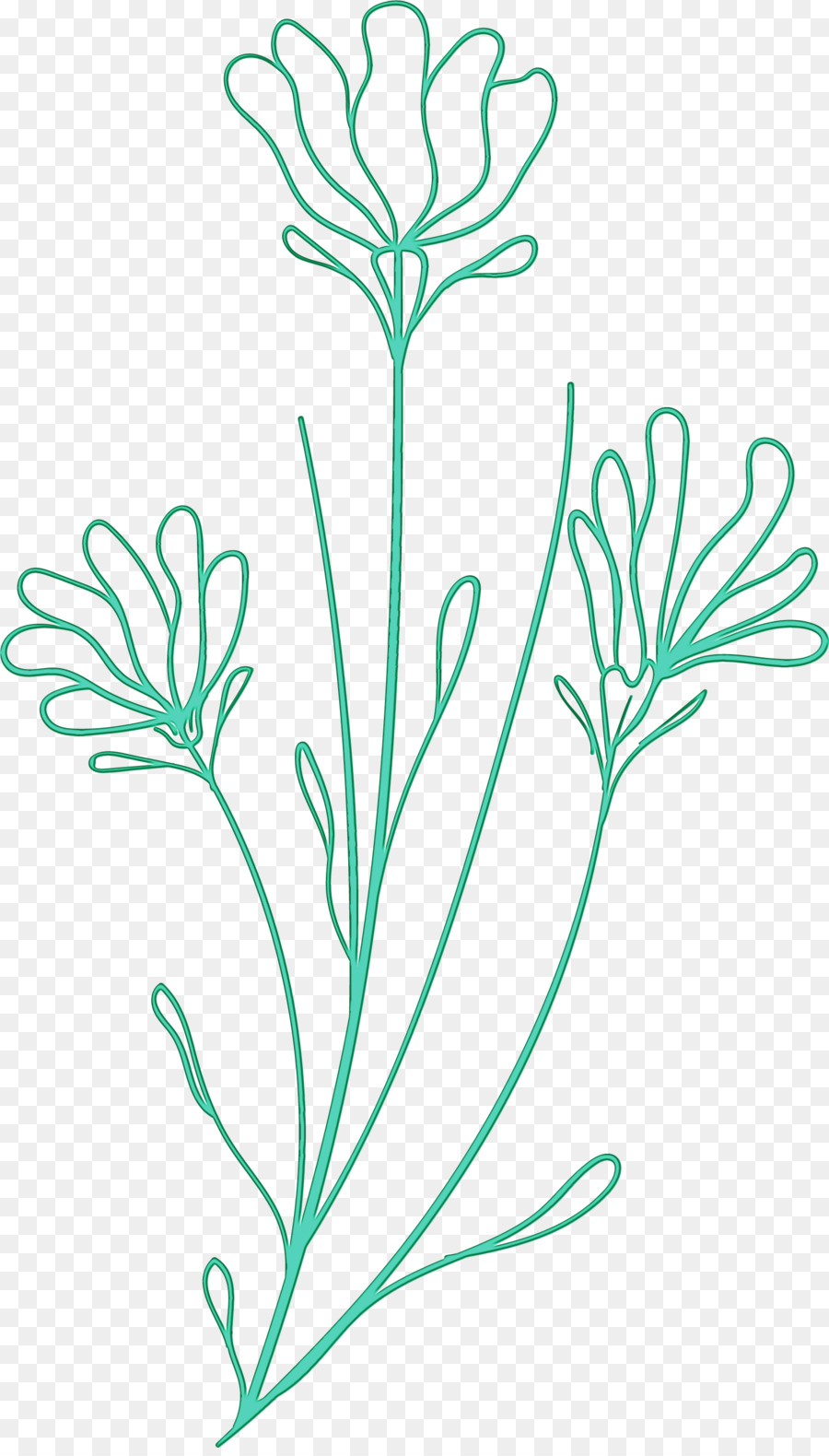 Dibujo De Flores，Bosquejo PNG