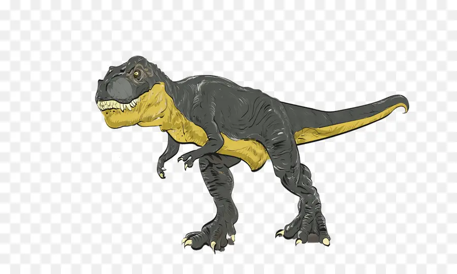 Tyrannosaurus，Camiseta PNG