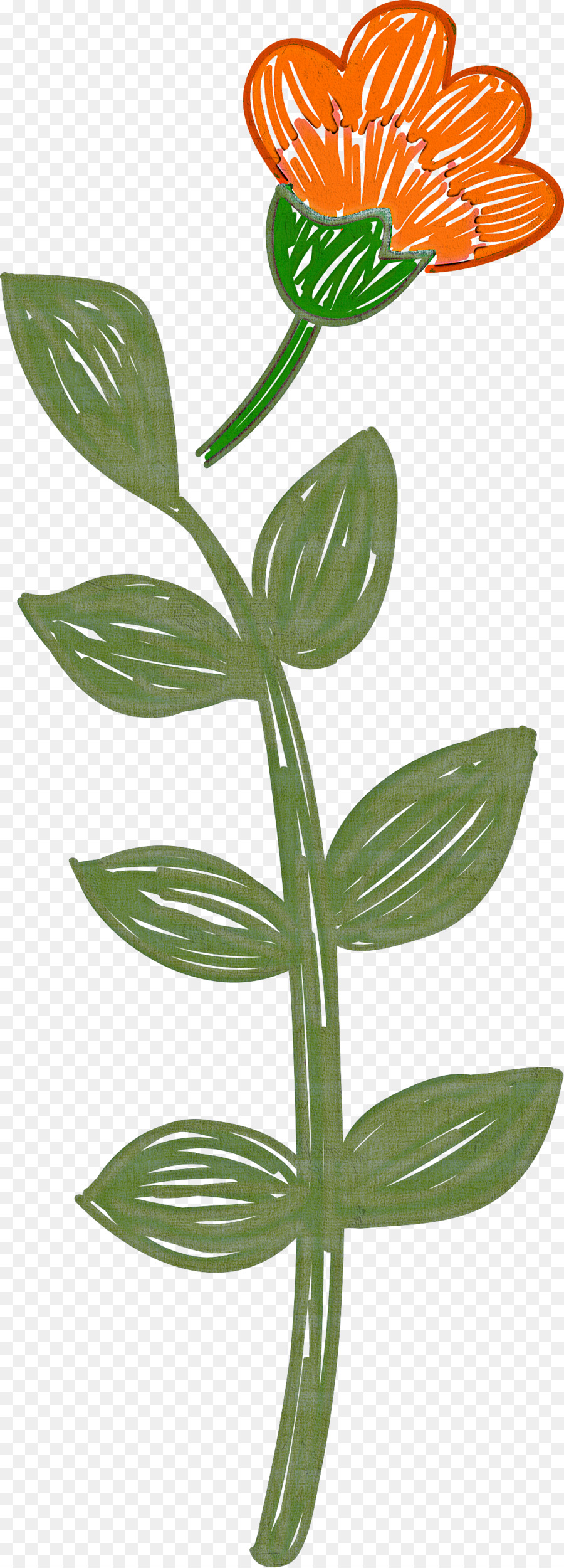 Flor，Tallo De La Planta PNG