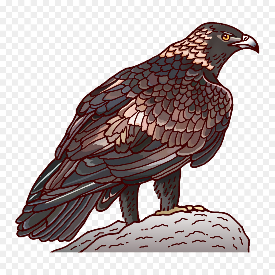 Halcón，Golden Eagle PNG