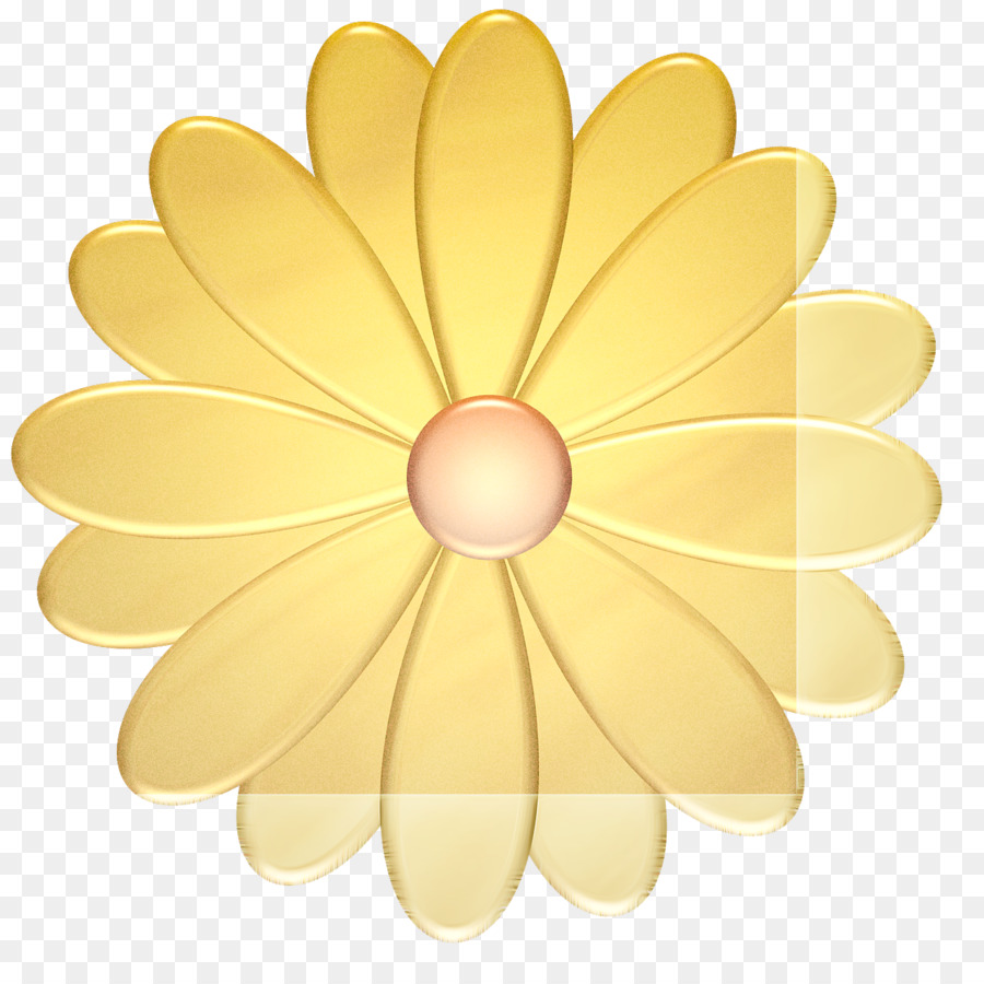 Girasol，Amarillo PNG