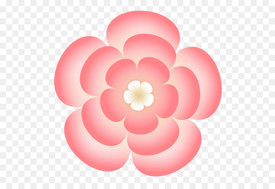 Circulo，Rosa M PNG