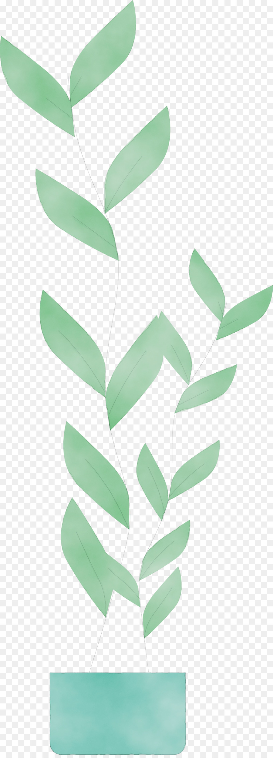 Planta Verde，Hojas PNG