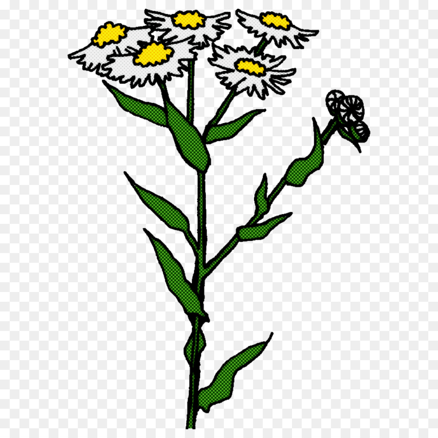 Diseño Floral，Tallo De La Planta PNG