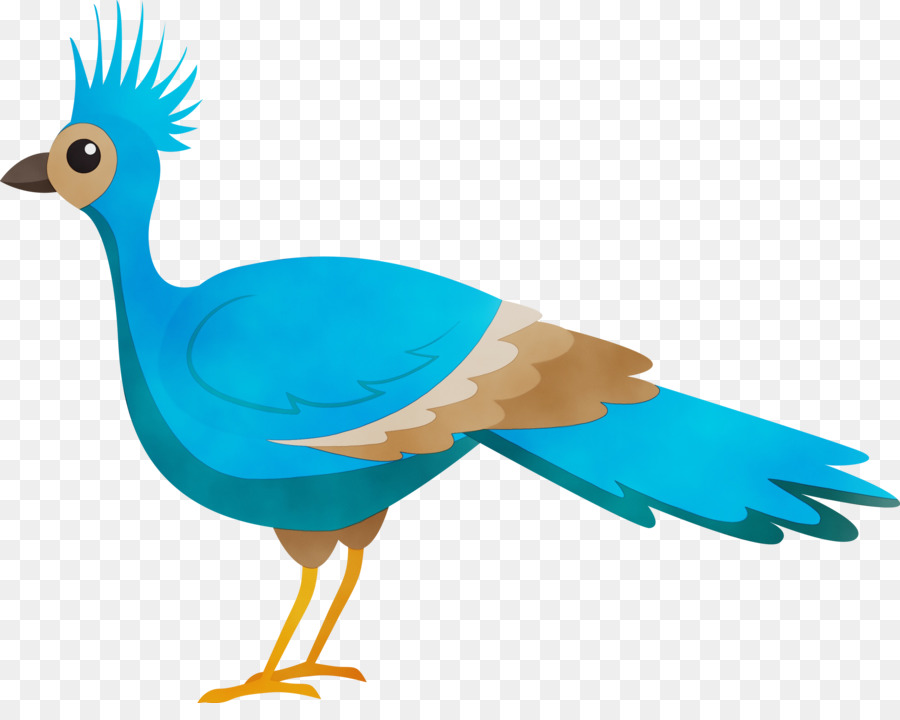 Pájaro Colorido，Plumas PNG