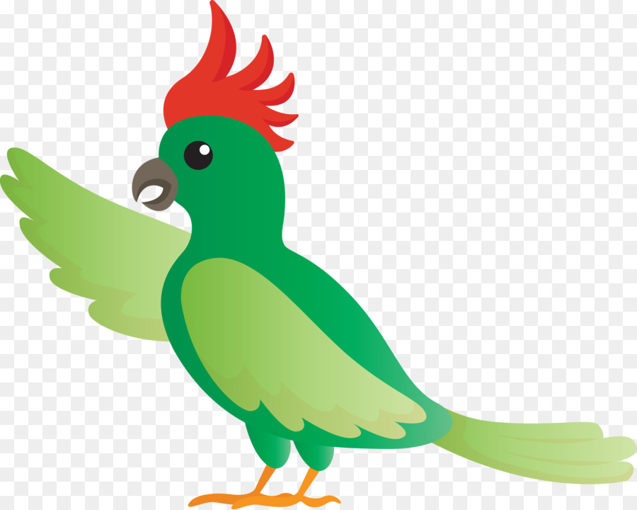 Pájaro Colorido，Plumas PNG