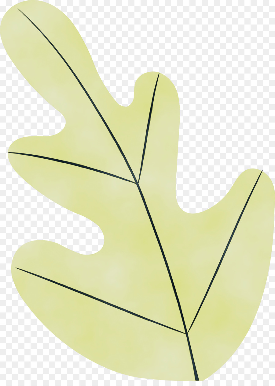 Hoja，Naturaleza PNG