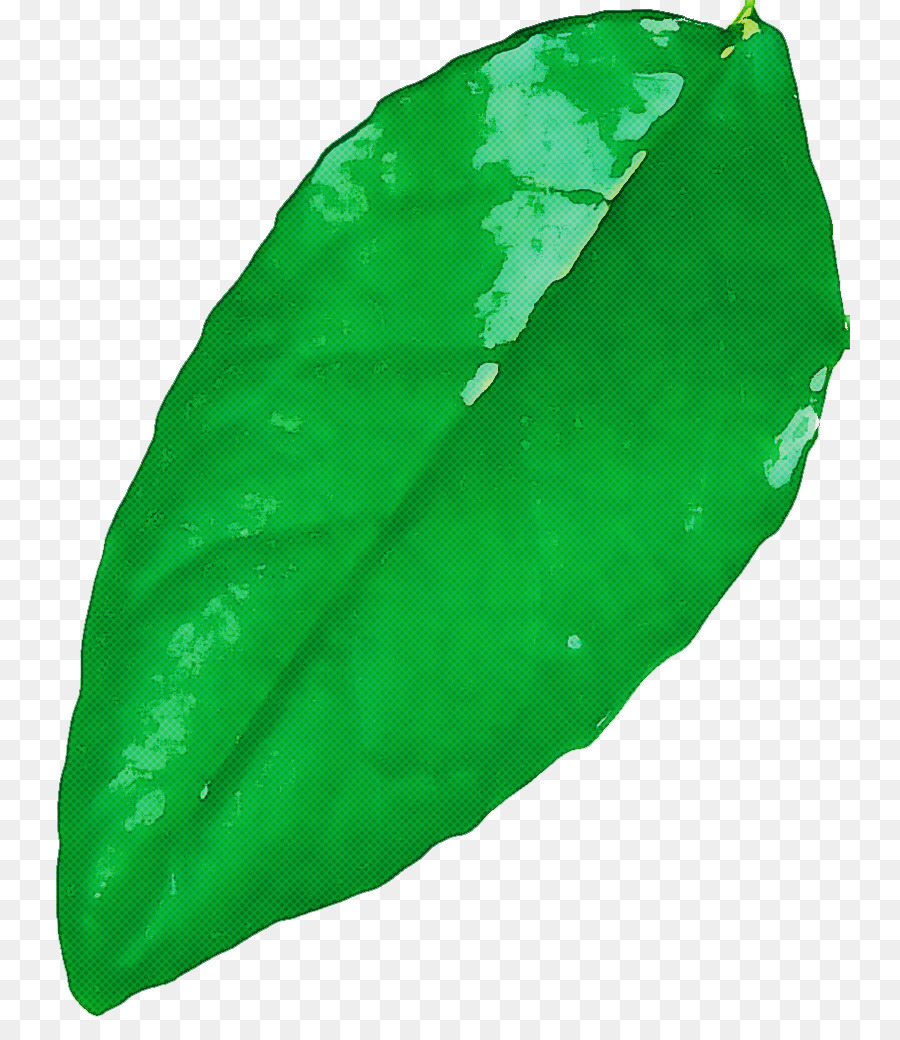 Hoja，Verde PNG