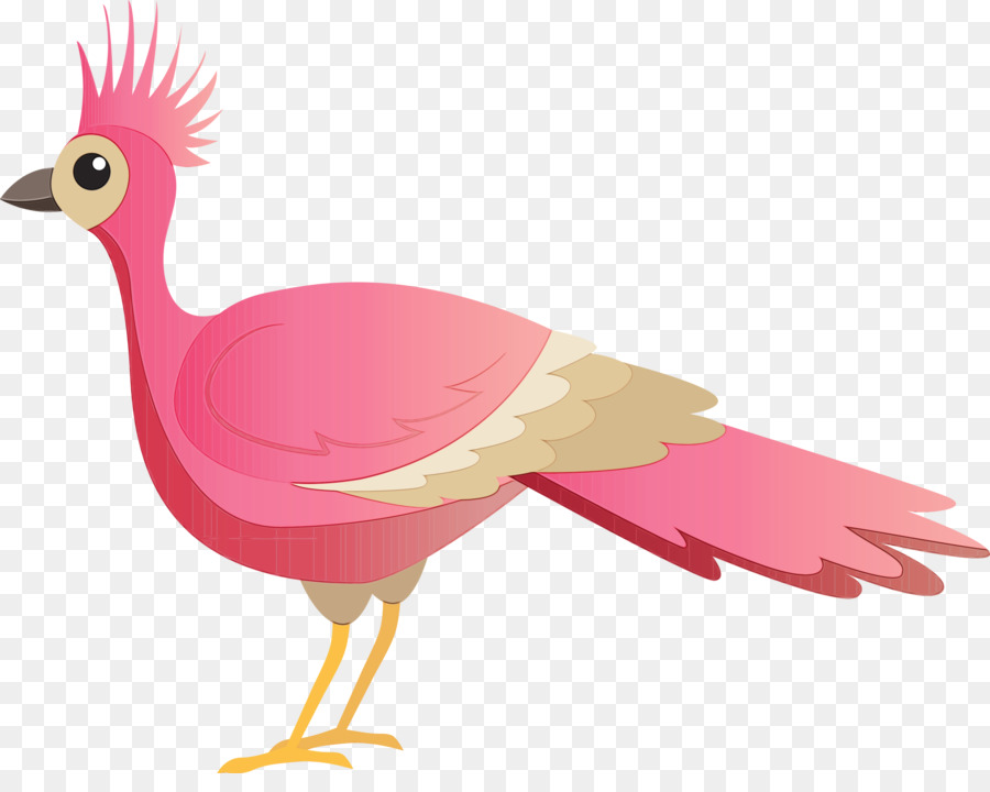 Pollo，Los Patos PNG