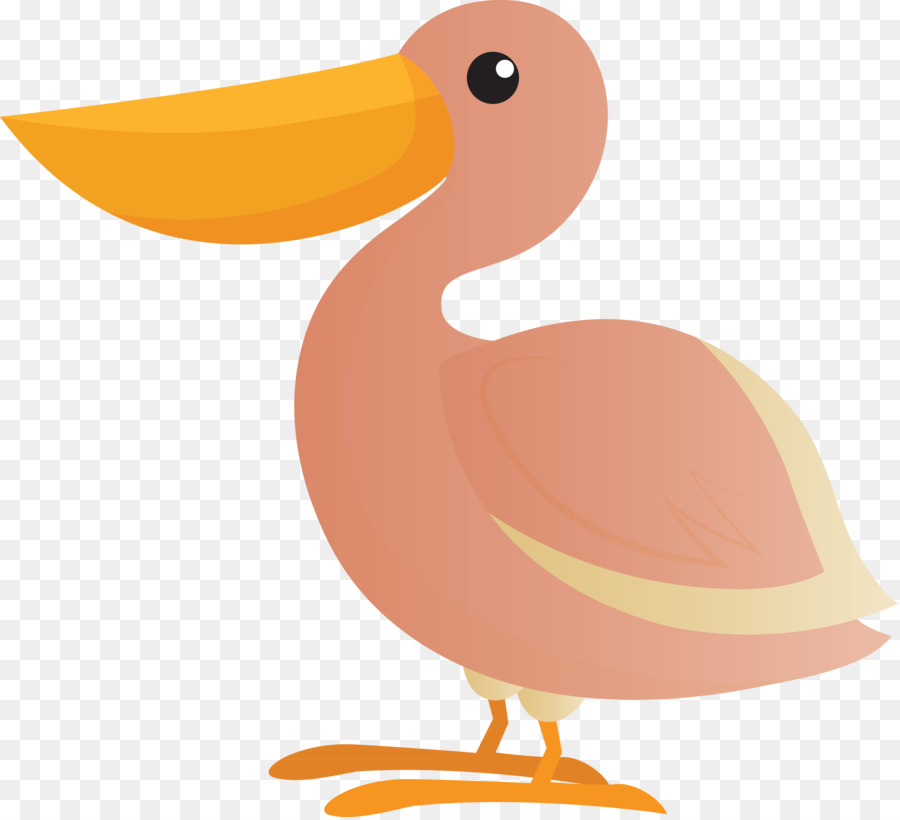 Pato，Pico PNG