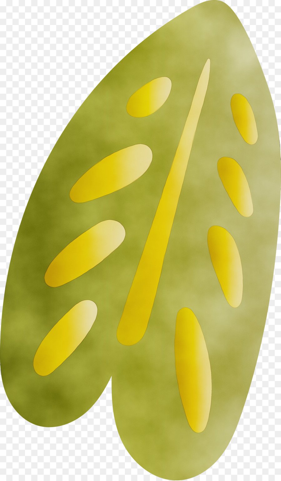 Amarillo，Oval PNG