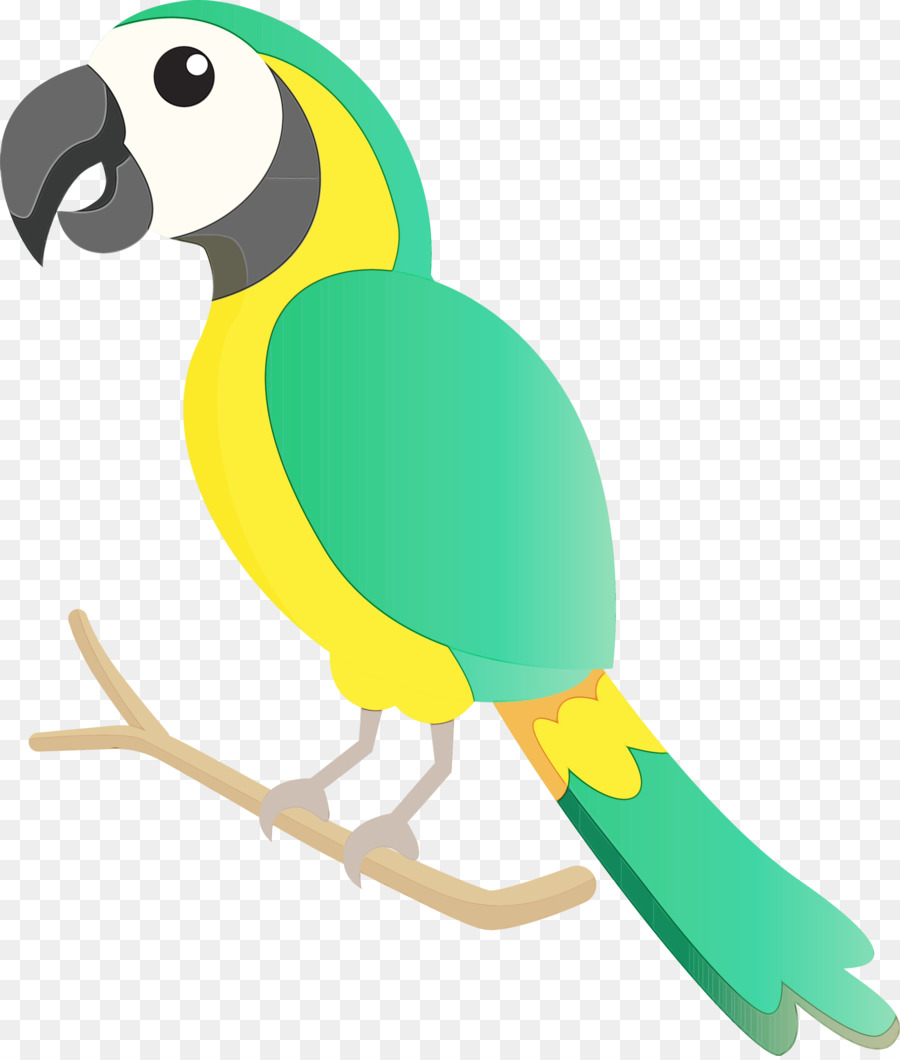 Loro Azul，Animal PNG