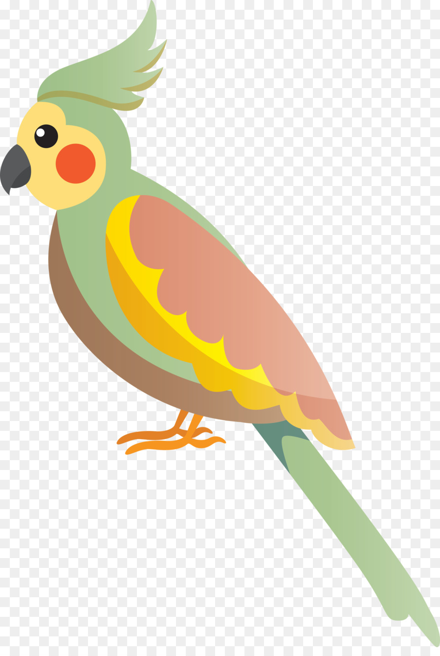 Loro Azul，Animal PNG