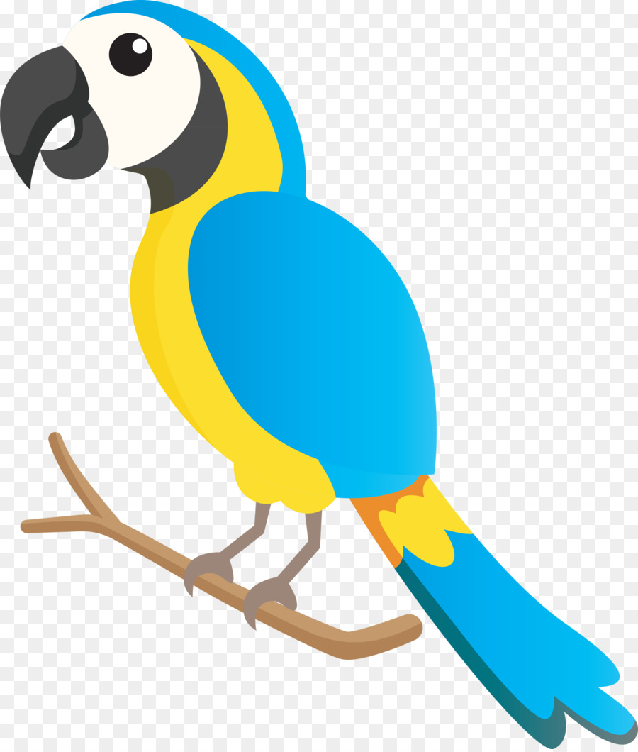 Guacamayo，Parakeet PNG