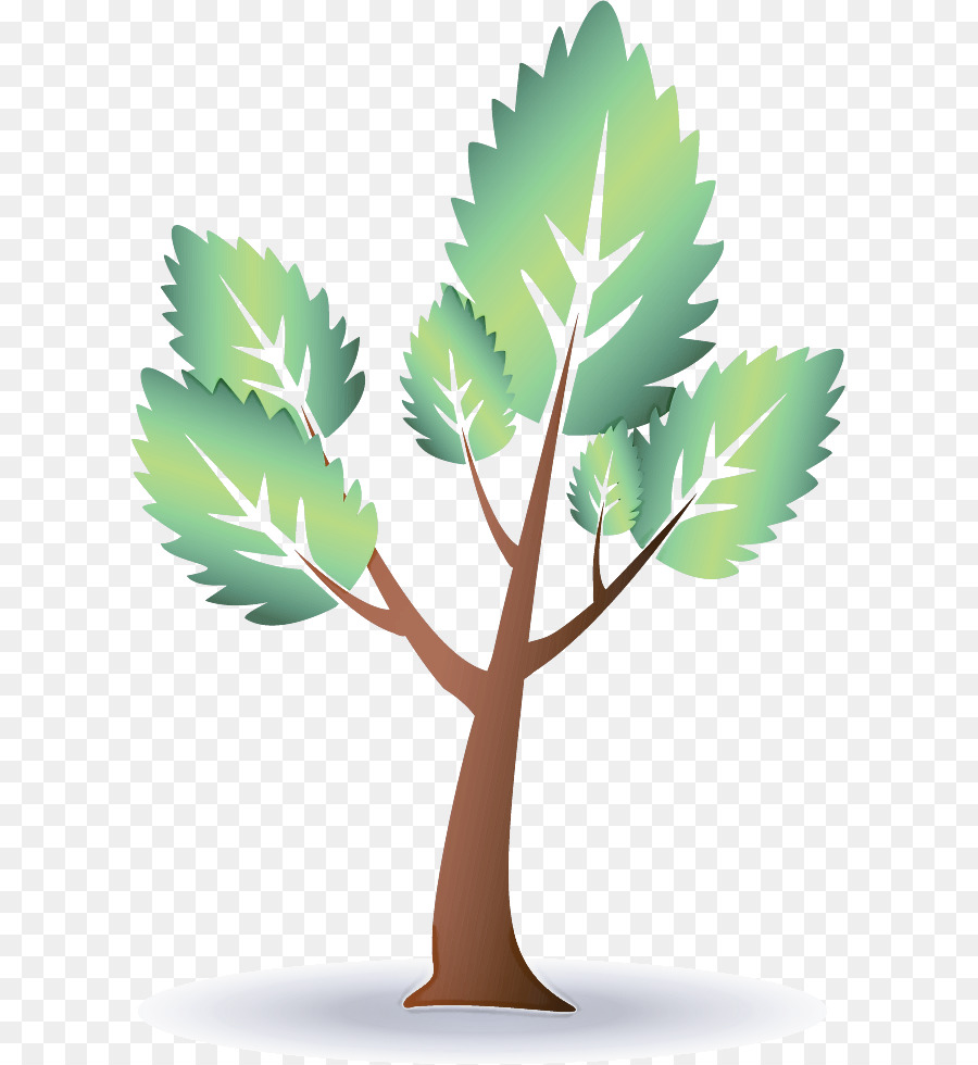 árbol Verde，Hojas PNG