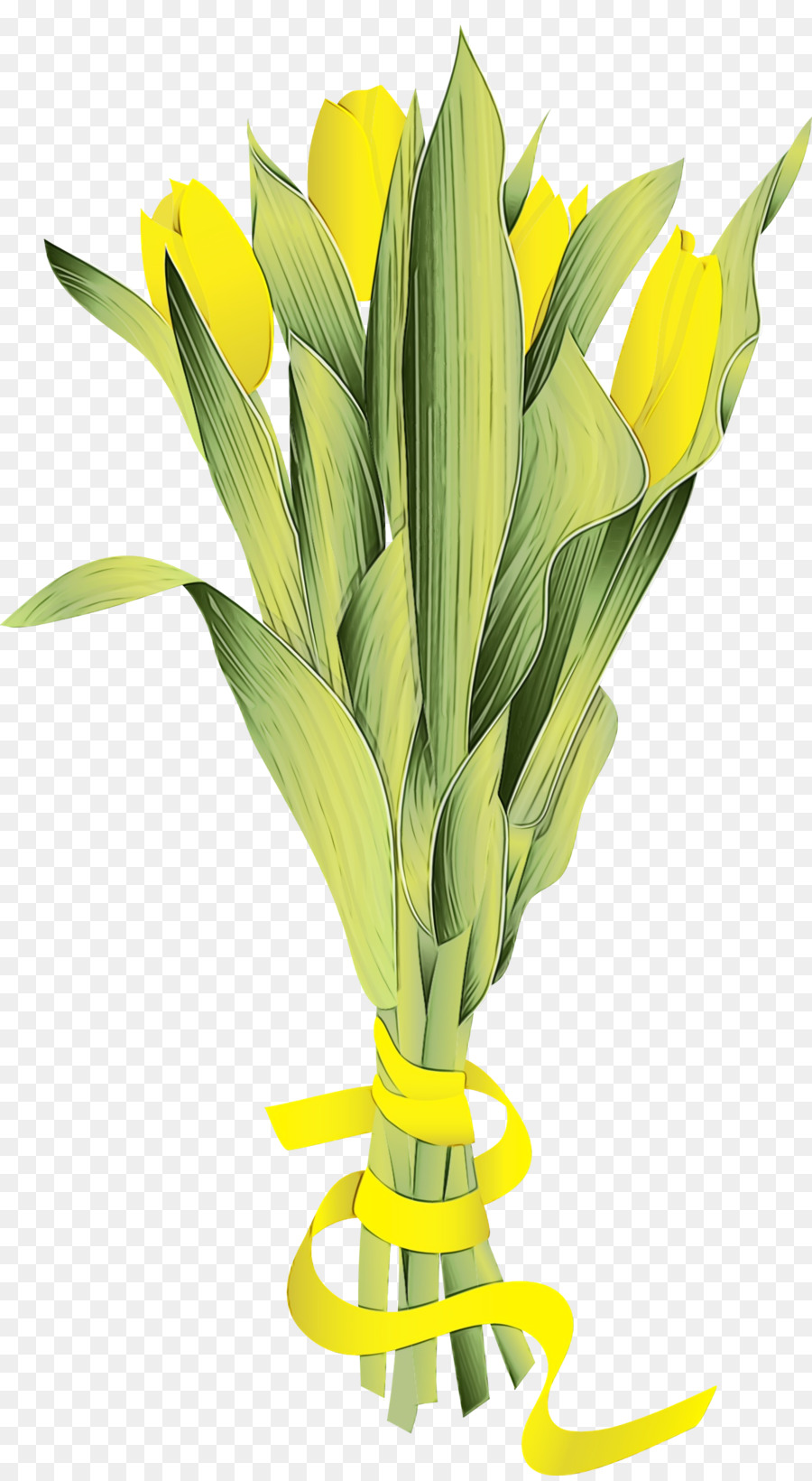 Tulipanes Amarillos，Ramo PNG