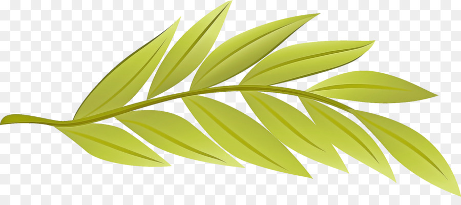 Hoja，Vástago PNG