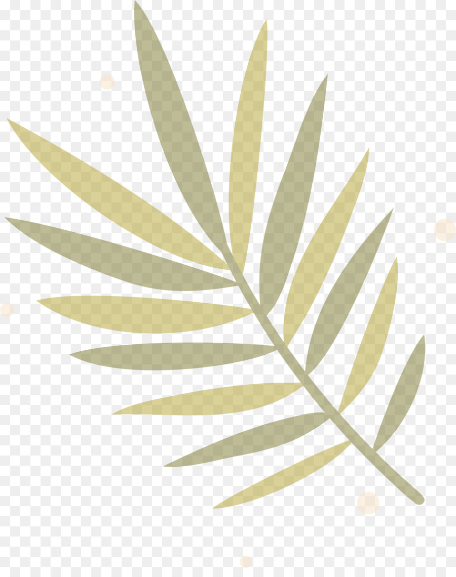 Hoja，Naturaleza PNG