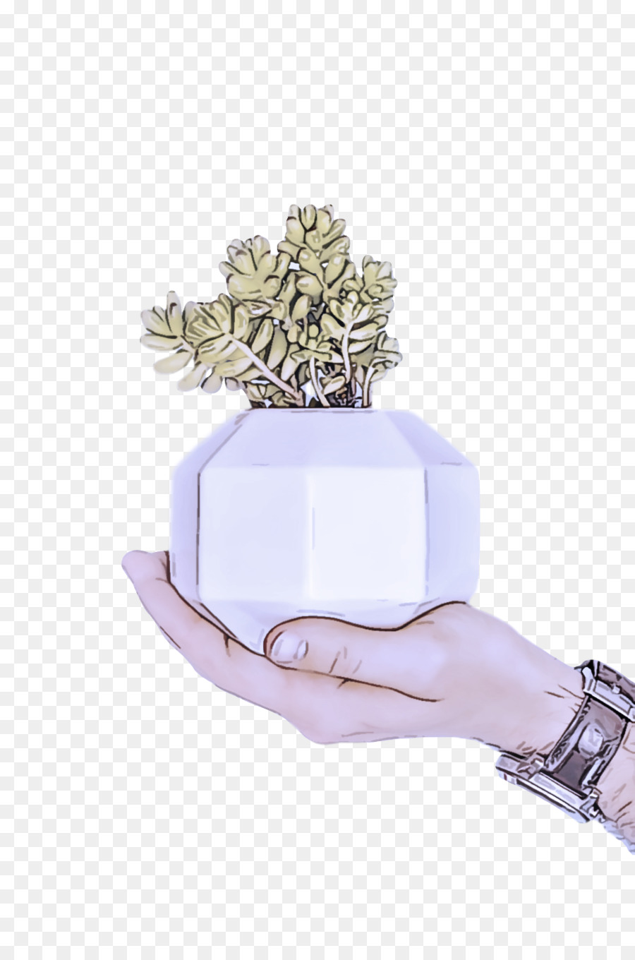 Joyería，Lavanda PNG