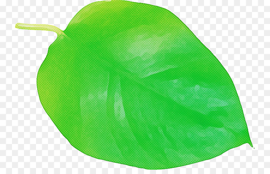 Hoja Verde，Planta PNG