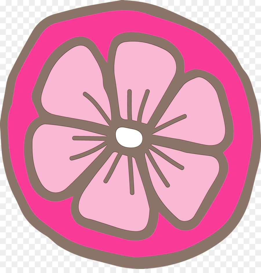 Circulo，Rosa M PNG