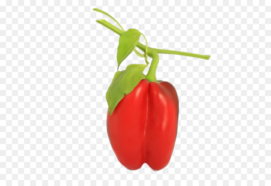 Pimiento De Piquillo，Habanero PNG