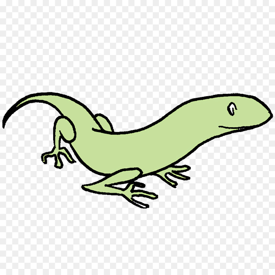 Los Reptiles，Los Anfibios PNG