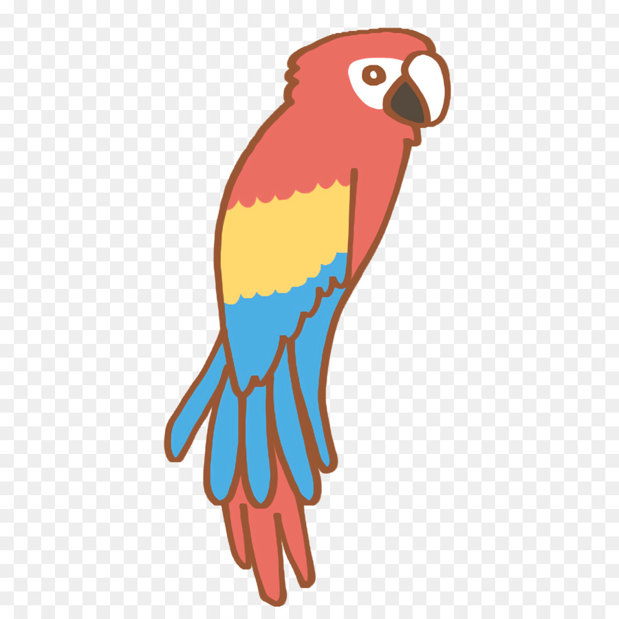 Guacamayo，Pico PNG