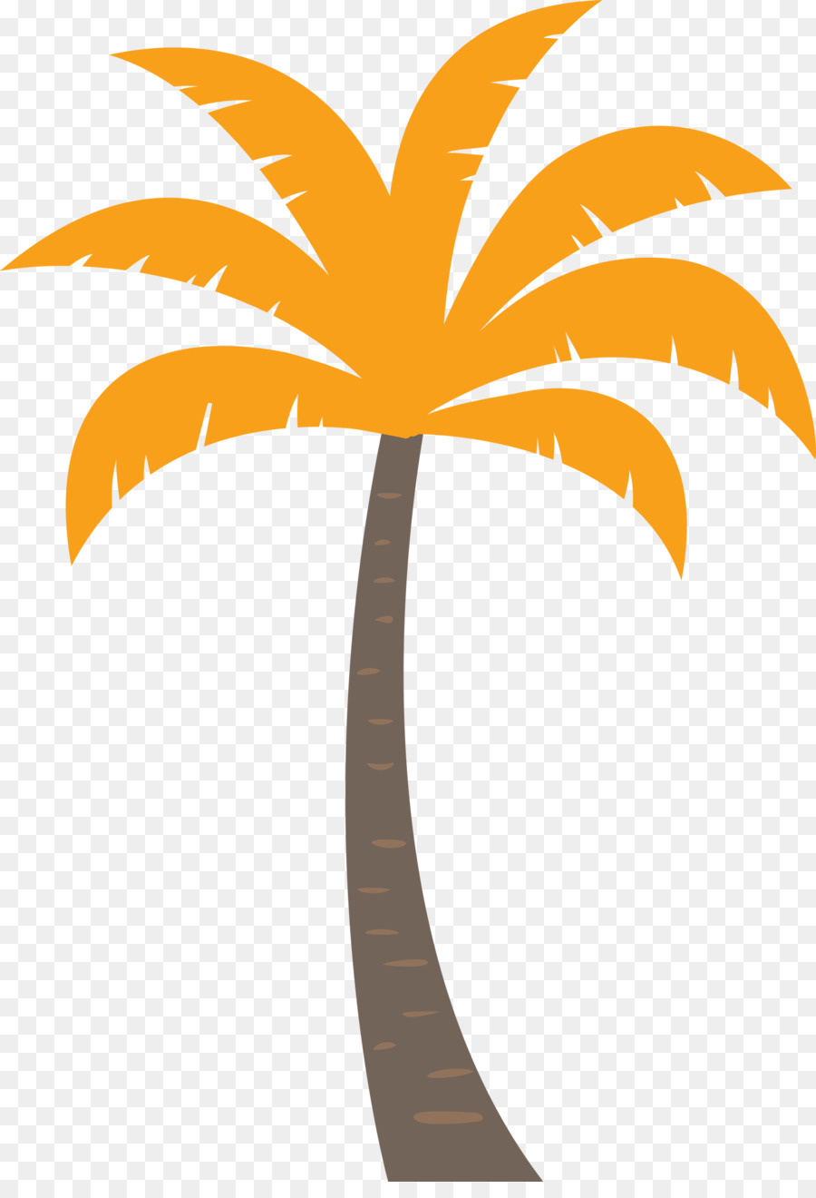 Palmera，Sol PNG