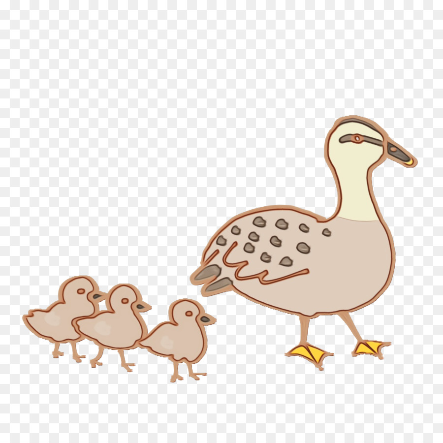 Pato，Pollo PNG