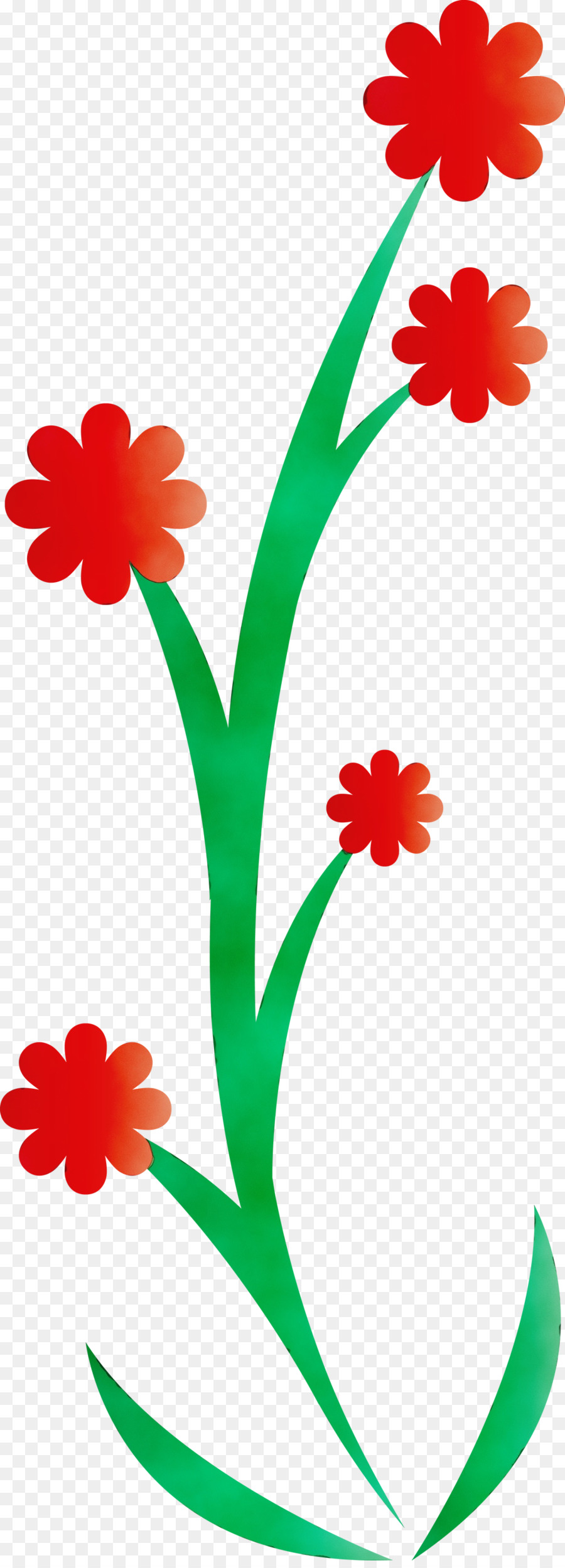 Flor，Diseño Floral PNG