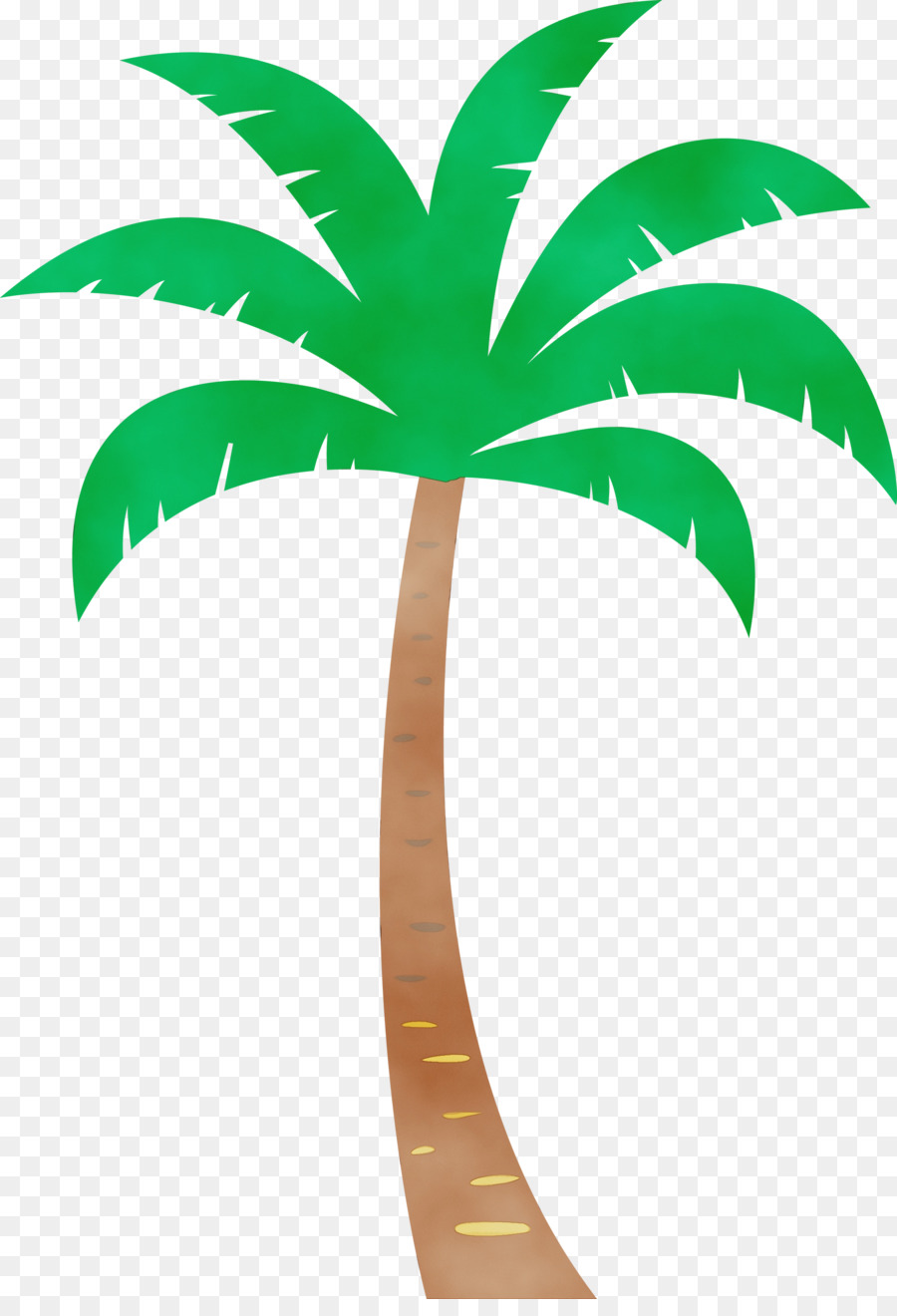 Palmera，Tropical PNG