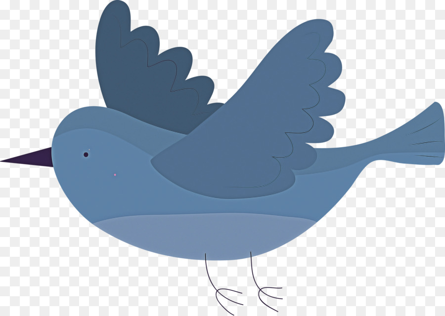 Pico，Aves PNG