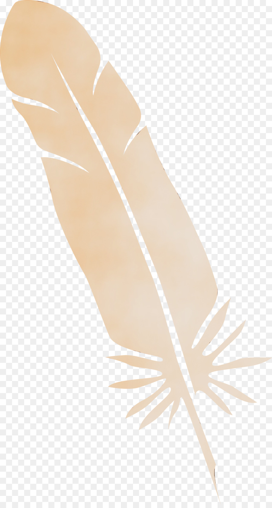 Pluma， PNG